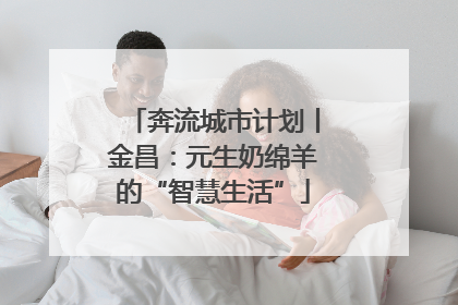 奔流城市计划丨金昌：元生奶绵羊的“智慧生活”