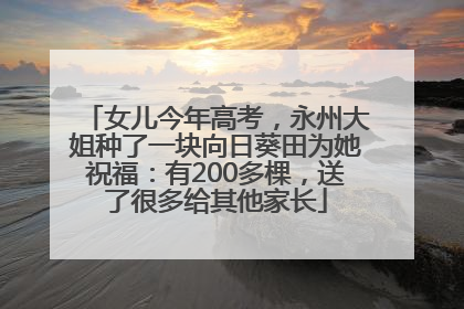女儿今年高考，永州大姐种了一块向日葵田为她祝福：有200多棵，送了很多给其他家长