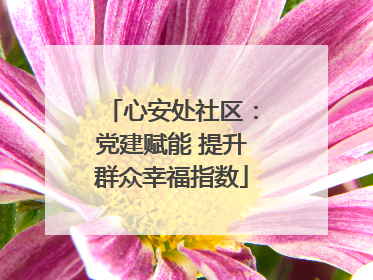 心安处社区：党建赋能 提升群众幸福指数