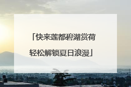 快来莲都碧湖赏荷 轻松解锁夏日浪漫