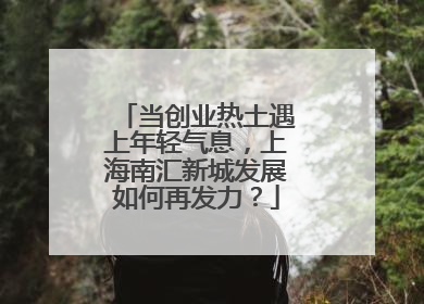 当创业热土遇上年轻气息，上海南汇新城发展如何再发力？