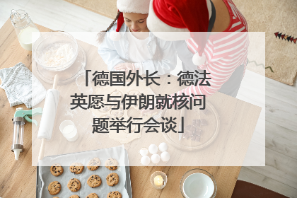 德国外长：德法英愿与伊朗就核问题举行会谈