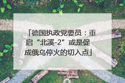 德国执政党要员：重启“北溪-2”或是促成俄乌停火的切入点
