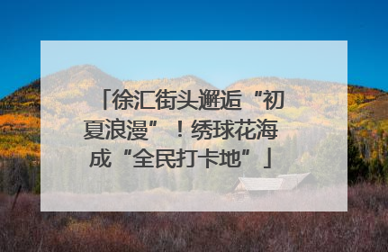徐汇街头邂逅“初夏浪漫”！绣球花海成“全民打卡地”