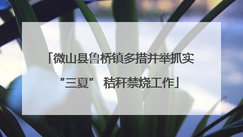 微山县鲁桥镇多措并举抓实 “三夏” 秸秆禁烧工作