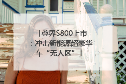 尊界S800上市：冲击新能源超豪华车“无人区”