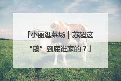 小丽逛菜场｜苏超这“鹅”到底谁家的？