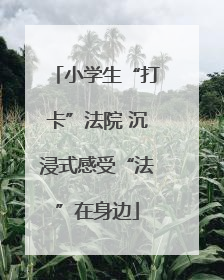 小学生“打卡”法院 沉浸式感受“法”在身边