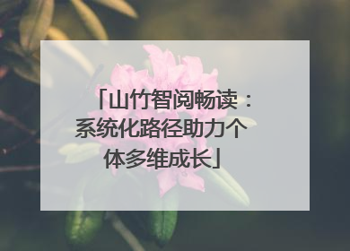 山竹智阅畅读：系统化路径助力个体多维成长