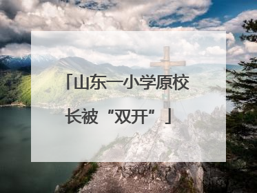 山东一小学原校长被“双开”