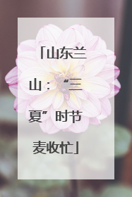 山东兰山：“三夏”时节麦收忙