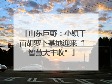 山东巨野：小镇千亩胡萝卜基地迎来“智慧大丰收”