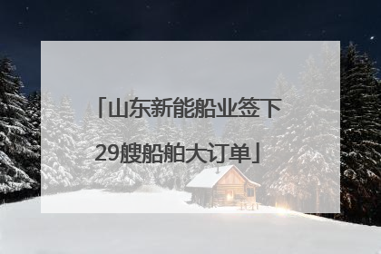 山东新能船业签下29艘船舶大订单