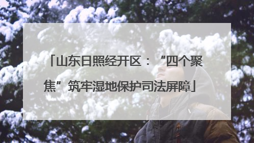 山东日照经开区：“四个聚焦”筑牢湿地保护司法屏障