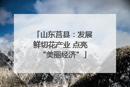 山东莒县：发展鲜切花产业 点亮“美丽经济”