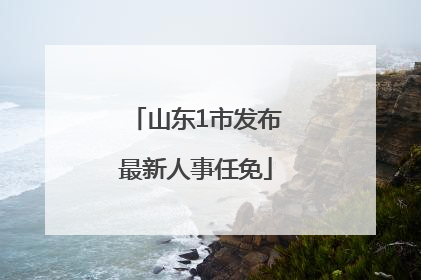 山东1市发布最新人事任免