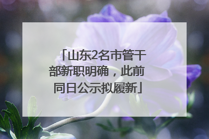 山东2名市管干部新职明确，此前同日公示拟履新