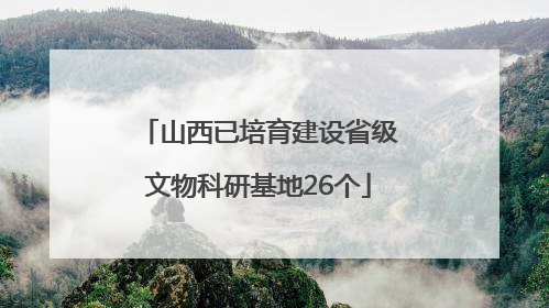 山西已培育建设省级文物科研基地26个