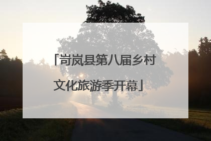岢岚县第八届乡村文化旅游季开幕