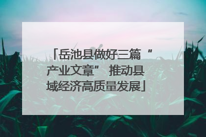 岳池县做好三篇“产业文章” 推动县域经济高质量发展