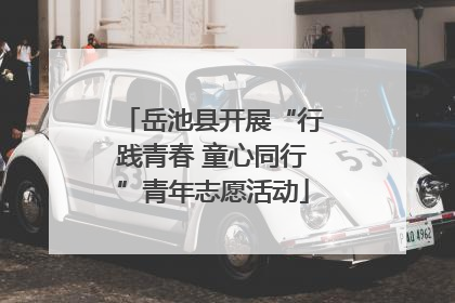 岳池县开展“行践青春 童心同行”青年志愿活动