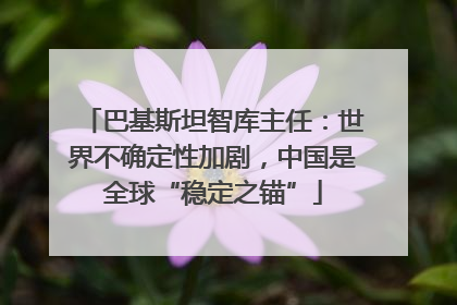 巴基斯坦智库主任：世界不确定性加剧，中国是全球“稳定之锚”