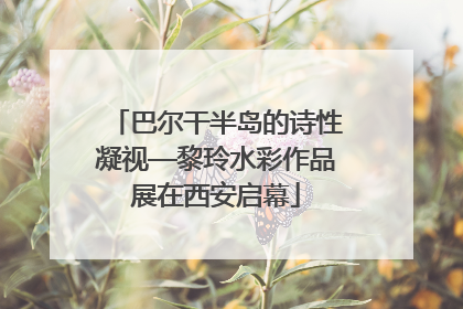 巴尔干半岛的诗性凝视—黎玲水彩作品展在西安启幕