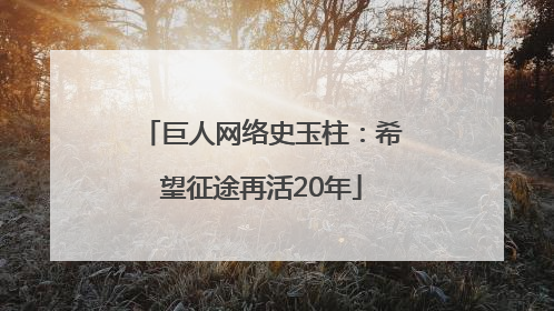 巨人网络史玉柱：希望征途再活20年