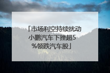 市场利空持续扰动 小鹏汽车下挫超5%领跌汽车股