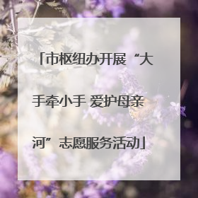 市枢纽办开展“大手牵小手 爱护母亲河”志愿服务活动