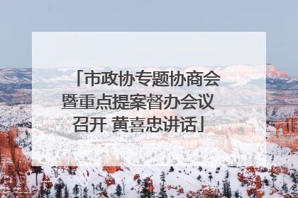 市政协专题协商会暨重点提案督办会议召开 黄喜忠讲话