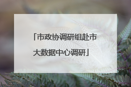 市政协调研组赴市大数据中心调研
