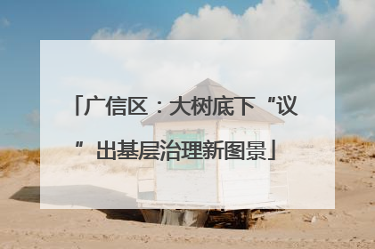 广信区：大树底下“议”出基层治理新图景