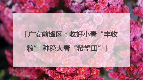 广安前锋区：收好小春“丰收粮” 种稳大春“希望田”