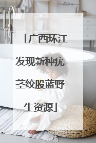 广西环江发现新种疣茎绞股蓝野生资源