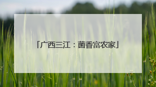 广西三江：菌香富农家