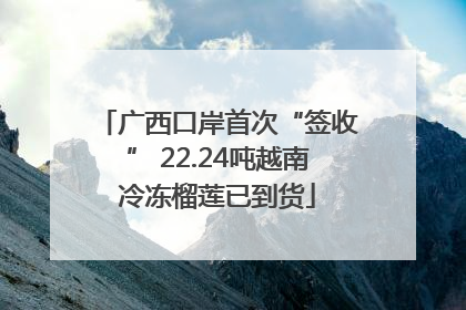 广西口岸首次“签收” 22.24吨越南冷冻榴莲已到货