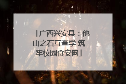 广西兴安县：他山之石互查学 筑牢校园食安网