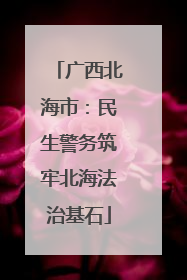 广西北海市：民生警务筑牢北海法治基石