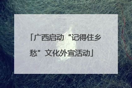 广西启动“记得住乡愁”文化外宣活动