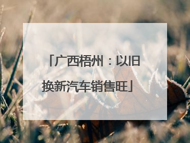 广西梧州：以旧换新汽车销售旺