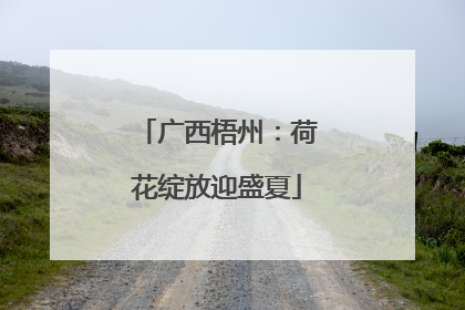 广西梧州：荷花绽放迎盛夏