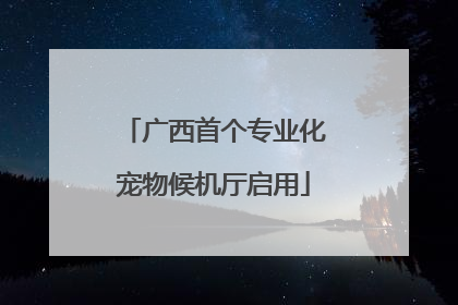 广西首个专业化宠物候机厅启用