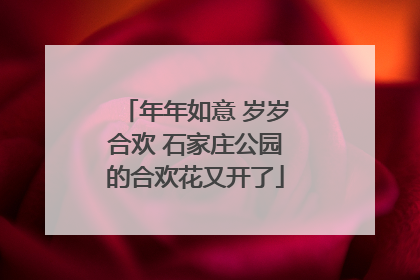 年年如意 岁岁合欢 石家庄公园的合欢花又开了
