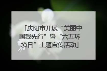 庆阳市开展“美丽中国我先行”暨“六五环境日”主题宣传活动