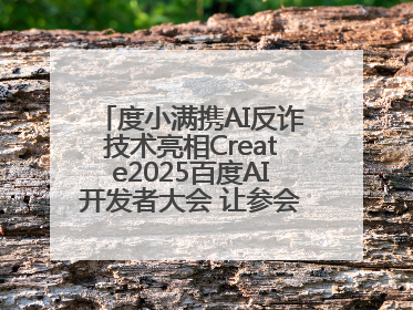 度小满携AI反诈技术亮相Create2025百度AI开发者大会 让参会者体验防深伪技术