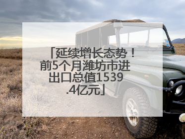 延续增长态势！前5个月潍坊市进出口总值1539.4亿元