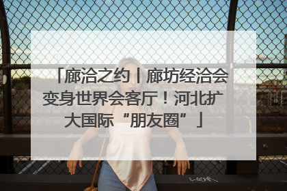廊洽之约丨廊坊经洽会变身世界会客厅！河北扩大国际“朋友圈”
