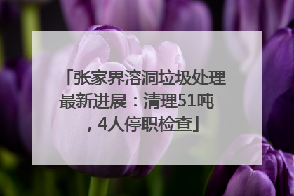 张家界溶洞垃圾处理最新进展：清理51吨，4人停职检查