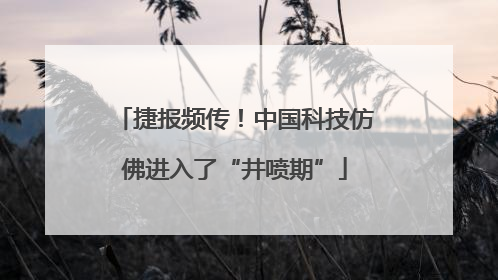 捷报频传！中国科技仿佛进入了“井喷期”